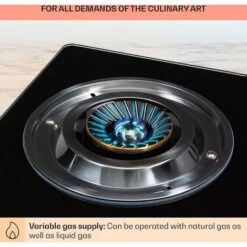 Klarstein Barzona 3 Camping Stove 3 Burners 3.4 KW & 0.75 KW & 4.3 Glass Top & Stainless Steel Housing -Home Appliance Store 95821231 5